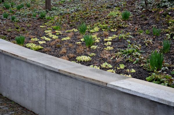 Concrete Wall Construction in Yukon