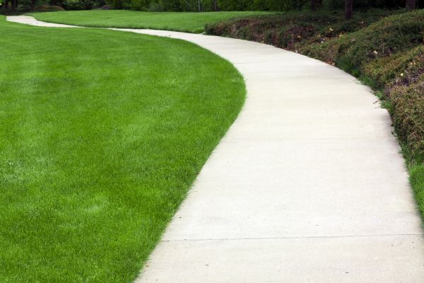 Pathway Construction in Yukon