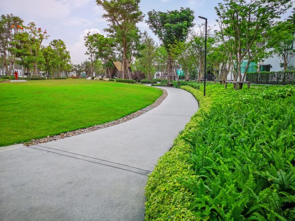 Cement Walkway Service in Yukon